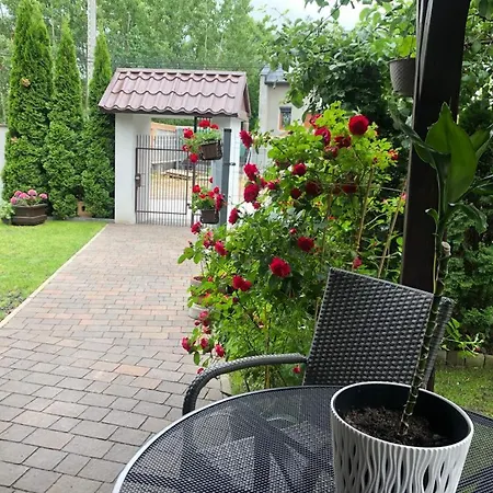 Apartament Sloneczny *